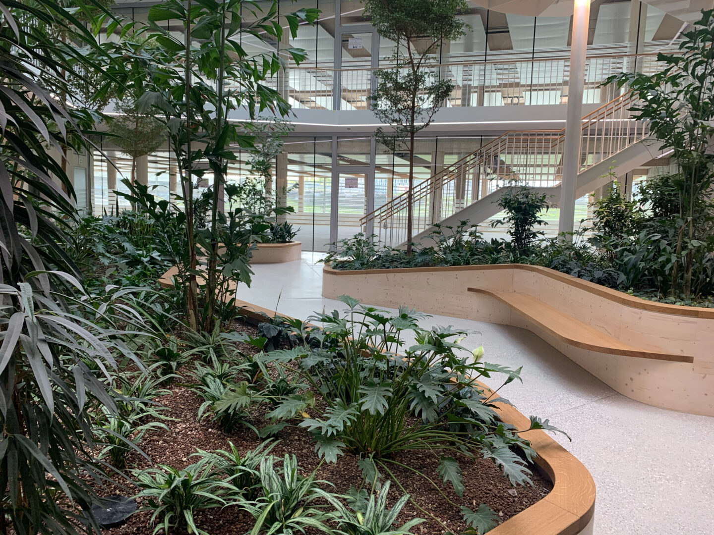 312 Bern131 IMG 5940